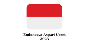 endonezya-asgari-ucret-2023.png