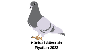 hunkari-guvercin-fiyatlari-2023.png