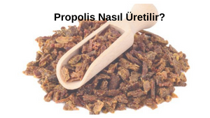 propolis-nasil-uretilir.png