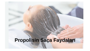 propolisin-saca-faydalari.png